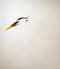 WHITE HERON 2008 // VITREOUS ENAMEL ON STEEL // 60cm x 70cm